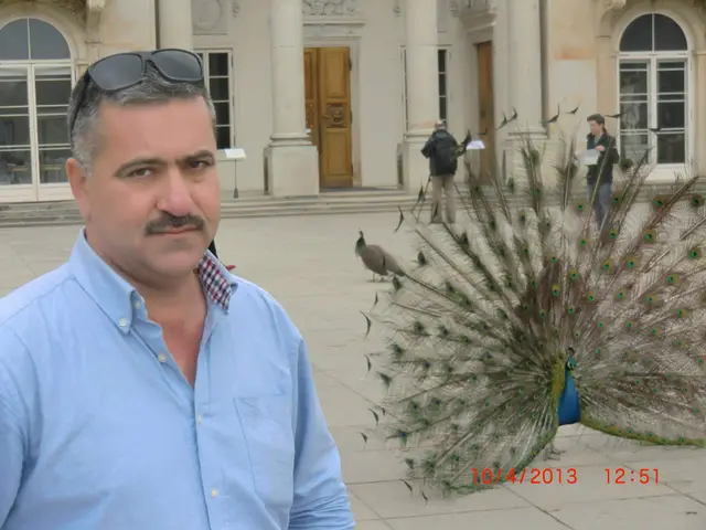 فيلكس لوبيةدي بيكا وترجمه عن الاسبانيه حسين نهابة